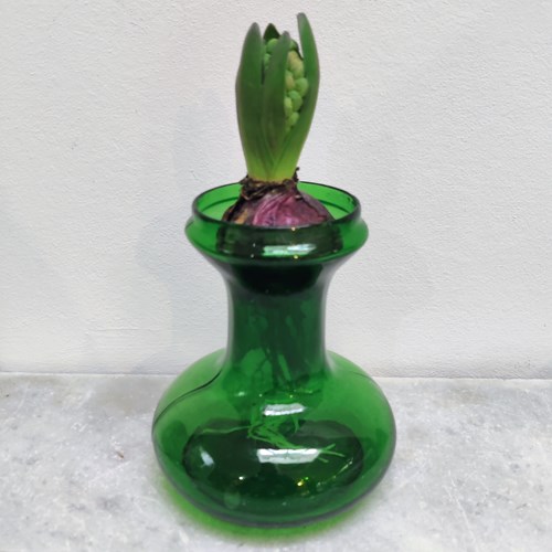 Lovely Grass Green Bulb Vase