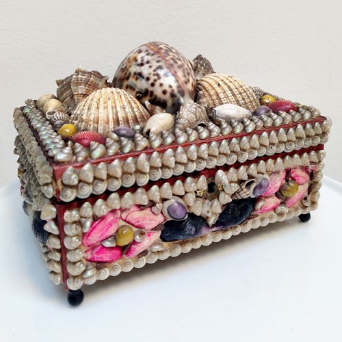 Large French Shell Trinket Box