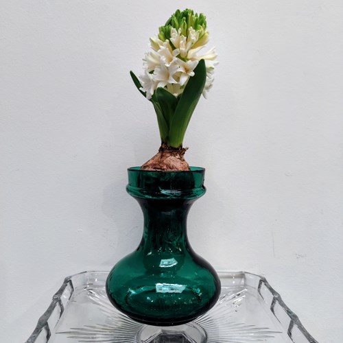 Beautiful Jade Green Bulb Vase