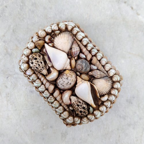 Shell Jewellery Box