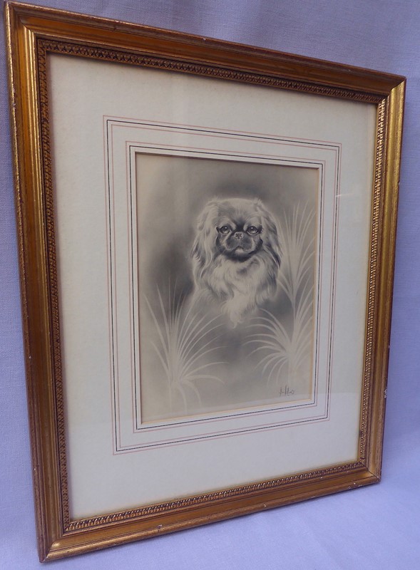 Drawing of a Pekingese by H W Hellings-ginger-tom-s-curious-eclectic-ce552a-hoarde-main-637457233523467983.JPG