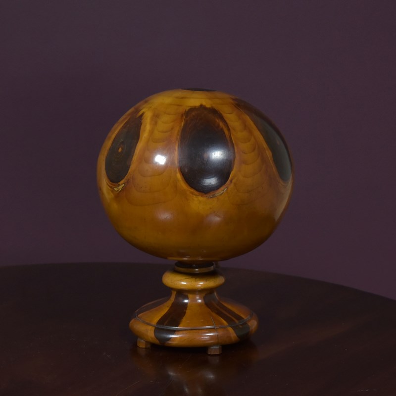 Brazilian Monkey Puzzle Globe Lamp-haes-antiques-dsc-4377cr-main-638063017808100746.jpg