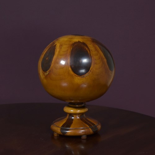 Brazilian Monkey Puzzle Globe Lamp