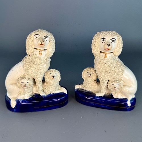 Pair Of Victorian Staffordshire Poodles & Puppies Circa 1850