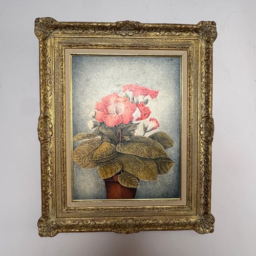 Charles E. Gelb Still Life Of Gloxinia, Pen & Coloured Ink
