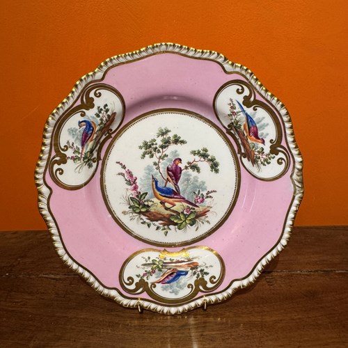 English Porcelain Plate Painted With Birds