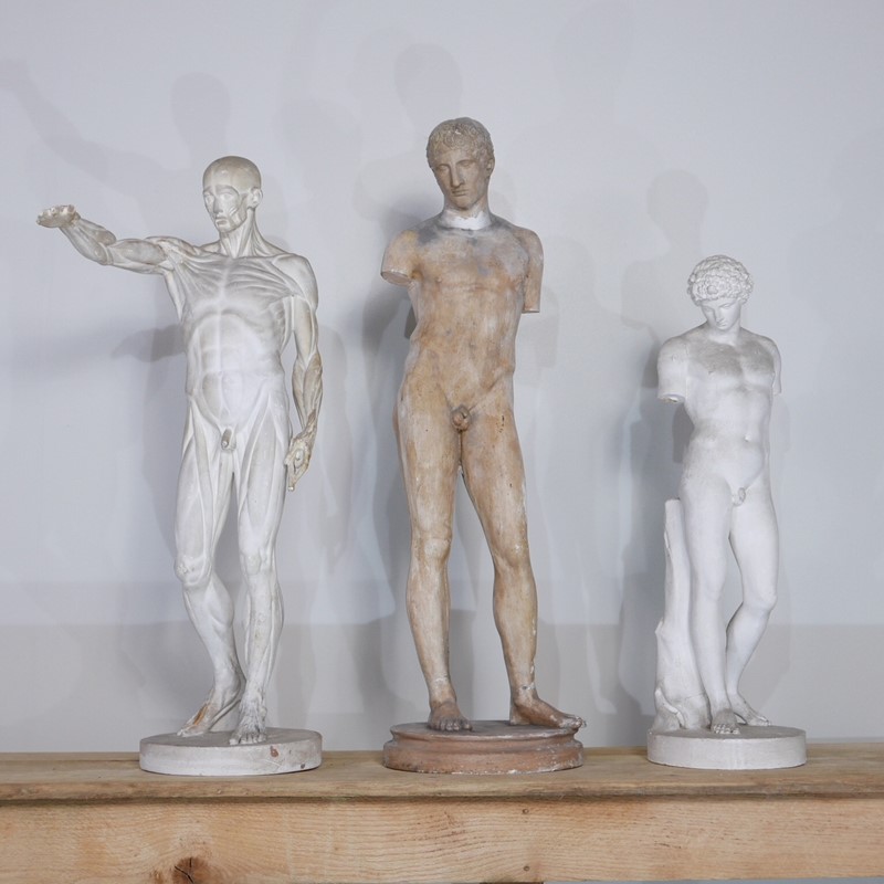 Anatomical Écorché Sculpture-joseph-berry-interiors-img-3856-main-636810126059497332.JPG