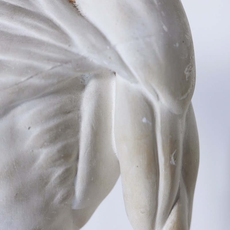 Anatomical Écorché Sculpture-joseph-berry-interiors-img-3858-main-636810126069809747.JPG