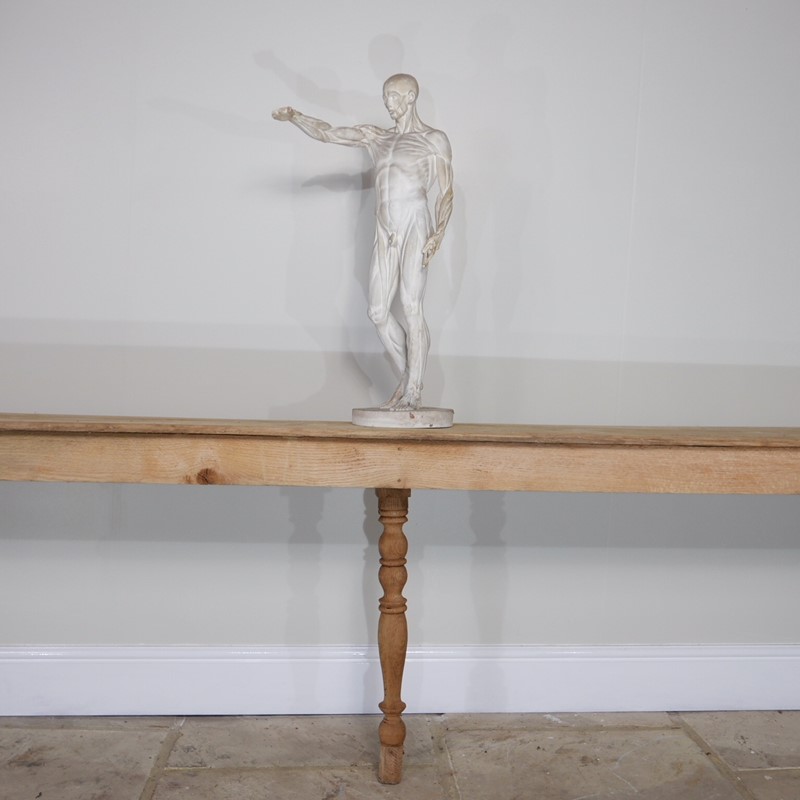 Anatomical Écorché Sculpture-joseph-berry-interiors-img-3870-main-636810126150590345.JPG