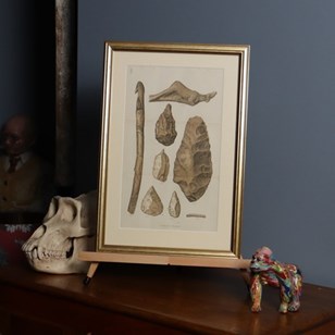 Palaeolithic Implements