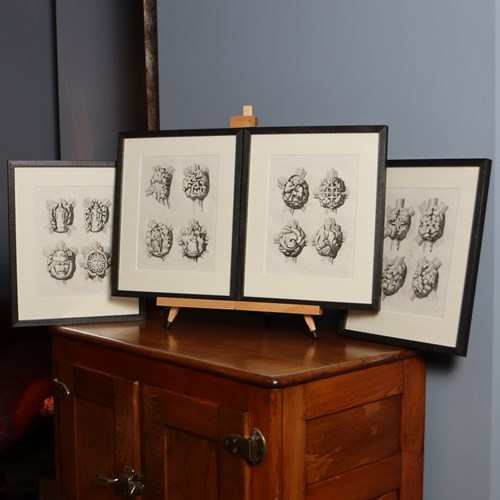 York Cathedral Gothic Ornament Illustrations