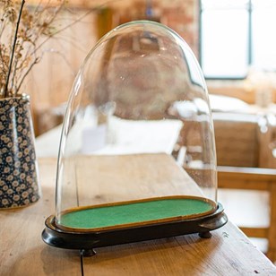 Antique Ovoid Clock Dome, English, Glass, Taxiderm...