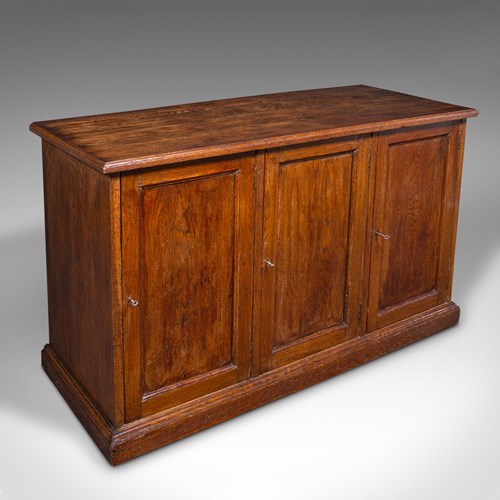 Antique Side Cabinet, English Oak, Hall Cupboard, Country House, Victorian, 1880