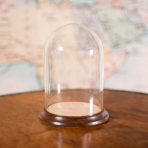Small Antique Display Dome, English, Glass, Beech, Showcase, Edwardian, C.1910
