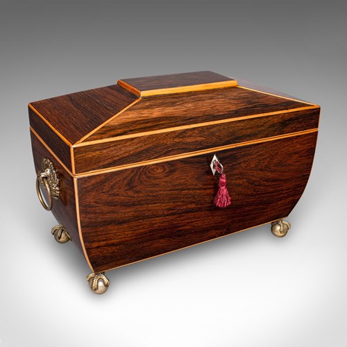 Antique Sarcophagus Tea Caddy, English, Loose Leaf Case, William IV, Circa 1835