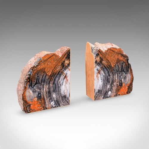 Pair Of Prehistoric Large Volume Bookends, Petrified Wood, Book Rest, Geological