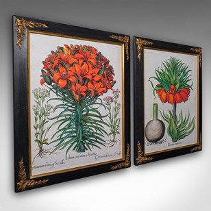 Pair Of Vintage Botanical Pictures,...