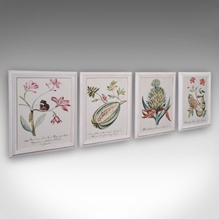 4 Vintage Botanical Pictures, Frame...