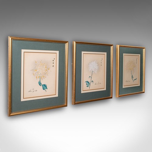3 Vintage Botanical Pictures, Japanese, Woodblock Print, After Hasegawa, Art