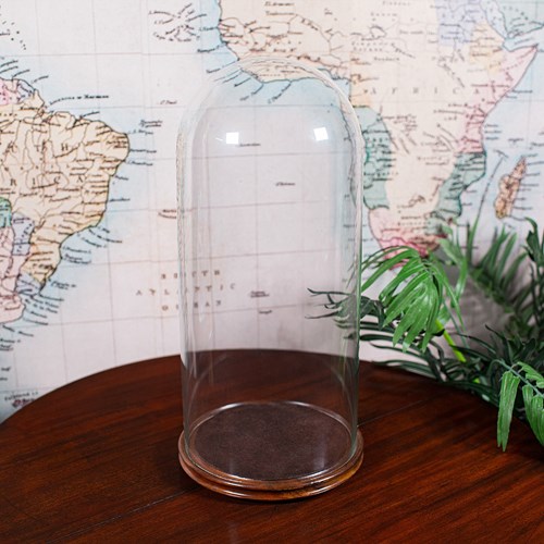 Antique Victorian Display Dome, English, Glass, Taxidermy Showcase, Collectors