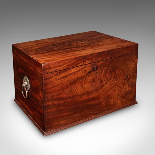 Antique Hunting Day Cellarette, Irish, Wine Storage Box, Gillingtons, Regency