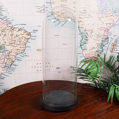 Large Antique Victorian Display Dome, English, Glass, Taxidermy Showcase, C.1880