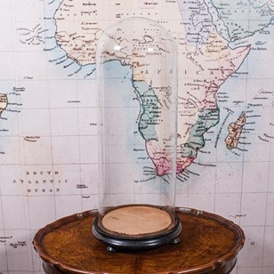 Tall Antique Display Dome, English,...