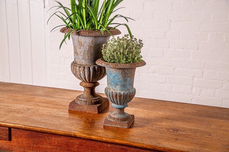 French Iron Garden Planters-louise-hall-decorative-lhd-24may-2021-9922-main-637597184660988643.jpeg