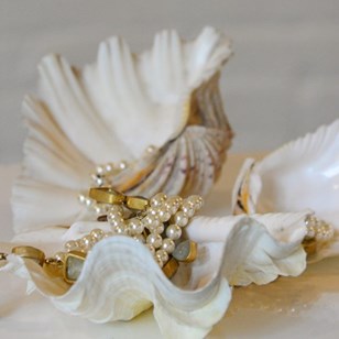 Clam Shells Set Of 3 Small