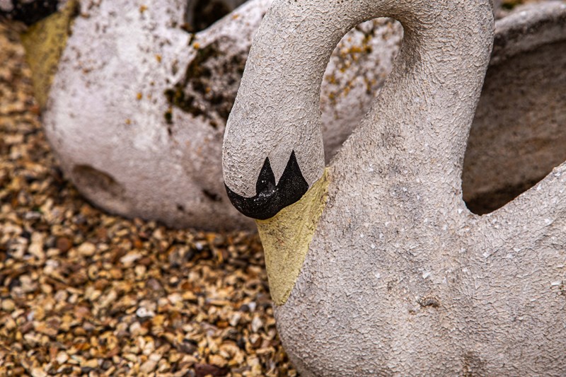 Composite Swan Planters-louise-hall-decorative-vase-and-swans-4-main-637701926443776301.jpeg