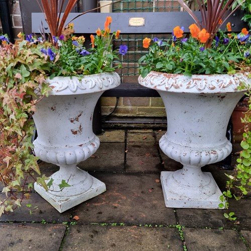 Large Pair Tuscan Terracotta Urns