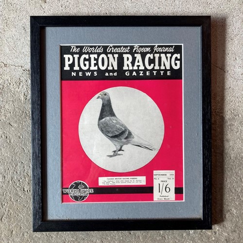 Vintage racing pigeon print - 'The Orphan' - No.6