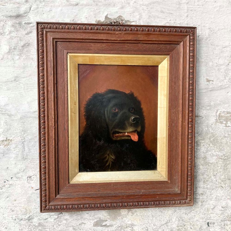 Antique Newfoundland dog portrait-marc-kitchen-smith-ks7264-ks7264-img-5899-1000px-main-637842261963792458.jpg