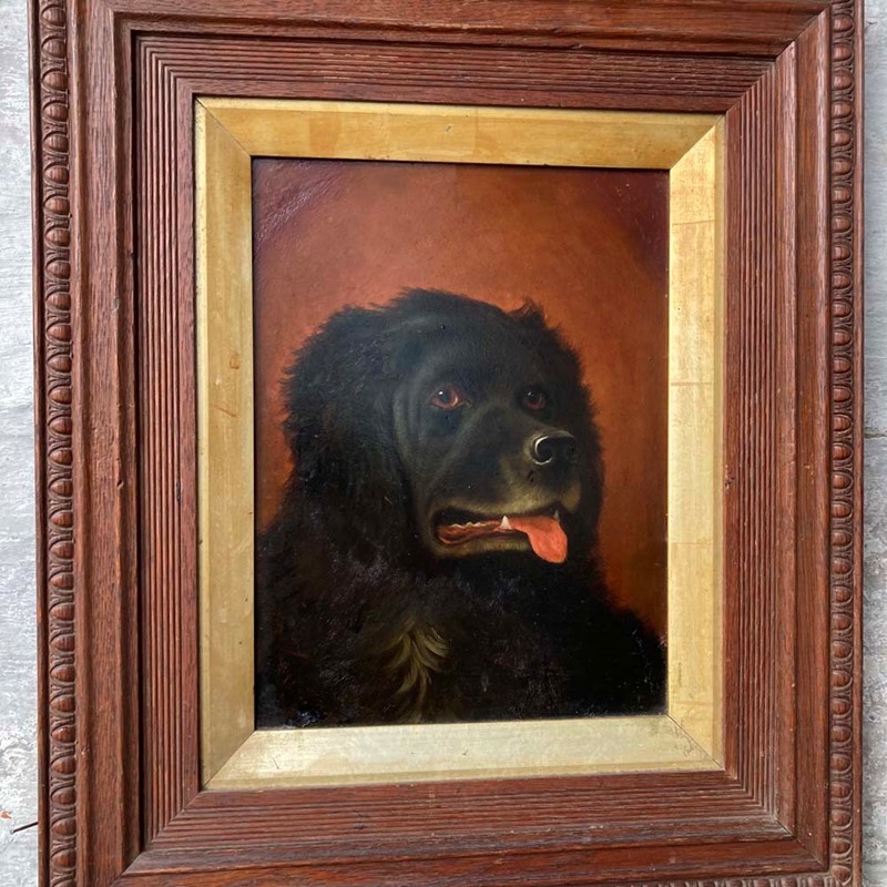 Antique Newfoundland dog portrait-marc-kitchen-smith-ks7264-ks7264-img-5900-1000px-main-637842261969416777.jpg