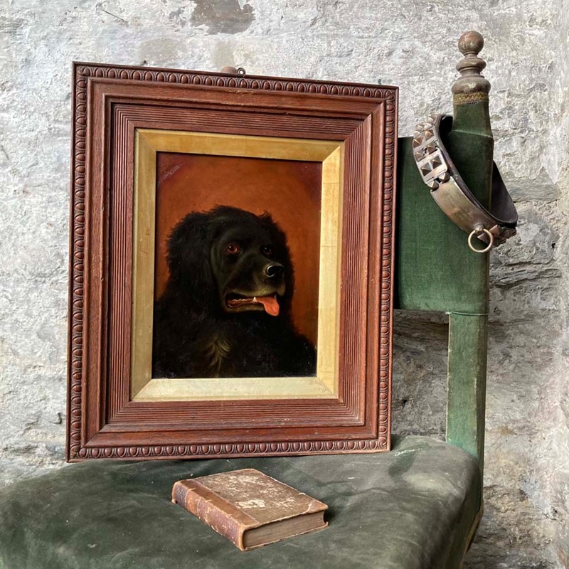 Antique Newfoundland dog portrait-marc-kitchen-smith-ks7264-ks7264-img-5914-1000px-main-637842261975355025.jpg