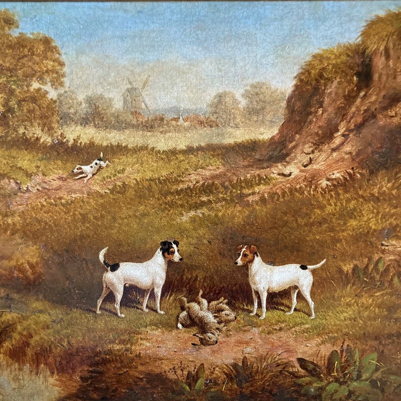 19th c. Jack Russell Terriers painting-marc-kitchen-smith-ks7341-img-5693-1000px-main-637812223339048023.jpg