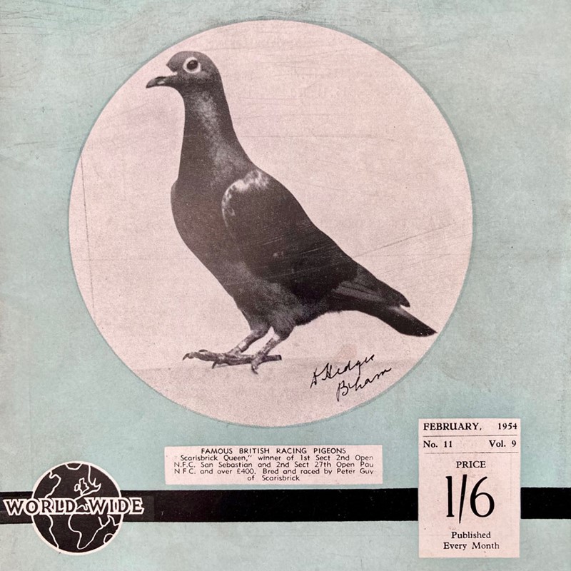 Vintage racing pigeon print - 'Scarisbrick Queen'-marc-kitchen-smith-ks7720a-img-4264-1000pxjpeg-main-638054021711590195.jpg