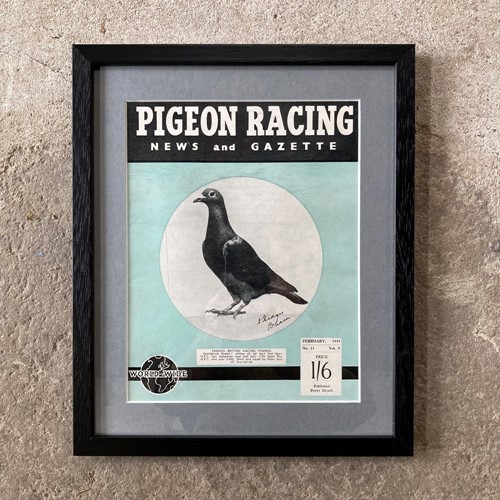 Vintage racing pigeon print - 'Scarisbrick Queen'