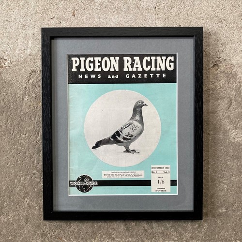 Vintage racing pigeon print - 'Blue Cheq Hen'
