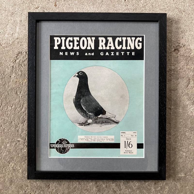 Vintage racing pigeon print - 'Champion Red Flash'-marc-kitchen-smith-ks7720f-img-4555-1000pxjpeg-main-638054028212166988.jpg