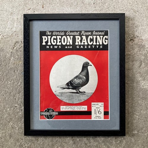 Vintage racing pigeon print - 'Welch Pride'