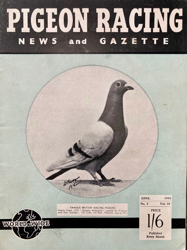 Vintage racing pigeon print - 'Scawby Releance'-marc-kitchen-smith-ks7720i-img-4297-1000pxjpeg-main-638054032589603809.jpg