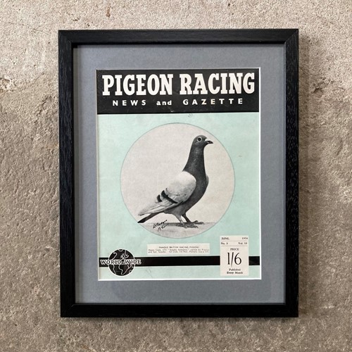 Vintage racing pigeon print - 'Scawby Releance'