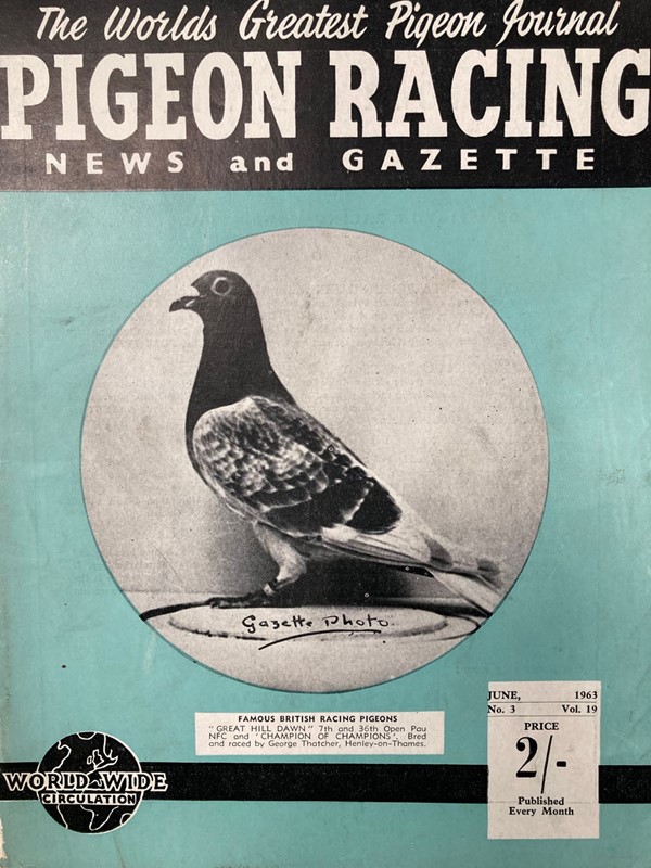 Vintage racing pigeon print - 'Great Hill Dawn'-marc-kitchen-smith-ks7720k-img-4306-1000pxjpeg-main-638054034183956889.jpg