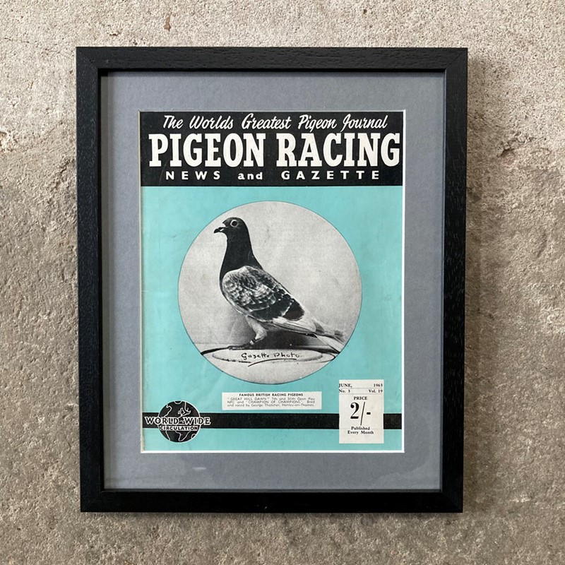 Vintage Racing Pigeon Print - 'Great Hill Dawn'-marc-kitchen-smith-ks7720k-img-4560-1000pxjpeg-main-638054034096458094.jpg