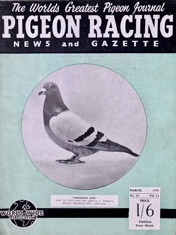 Vintage Racing Pigeon Print - 'Barcelona Blue'-marc-kitchen-smith-ks7720m-img-4285-1000pxjpeg-main-638054035845497664.jpg