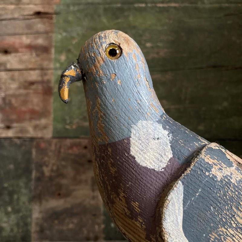 Antique Pigeon Decoy - William Jaggard-marc-kitchen-smith-ks8031-img-4610-1000pxjpeg-main-638368447444369006.jpg