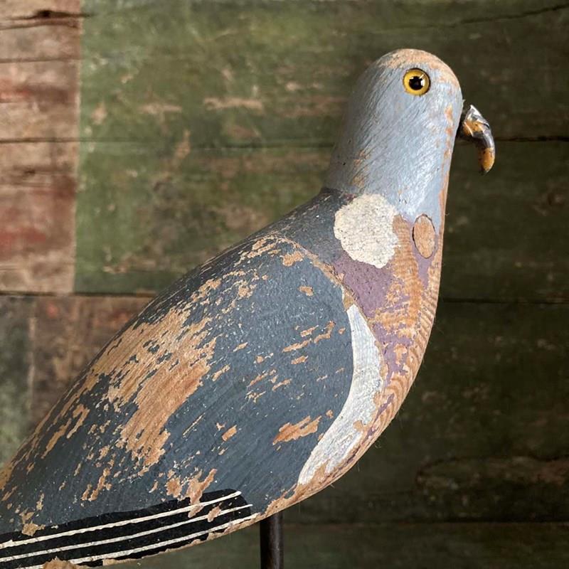 Antique Pigeon Decoy - William Jaggard-marc-kitchen-smith-ks8031-img-4612-1000pxjpeg-main-638368447450775121.jpg
