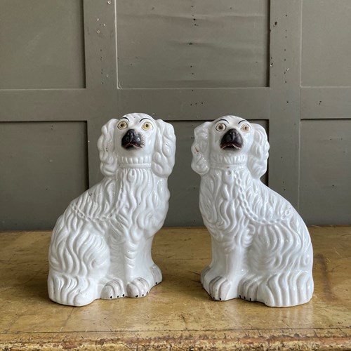 Antique Staffordshire Pottery Dogs