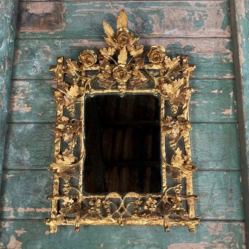 Aesthetic Style Gilded Floral Mirror